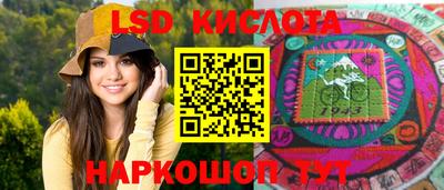 прущие грибы Будённовск