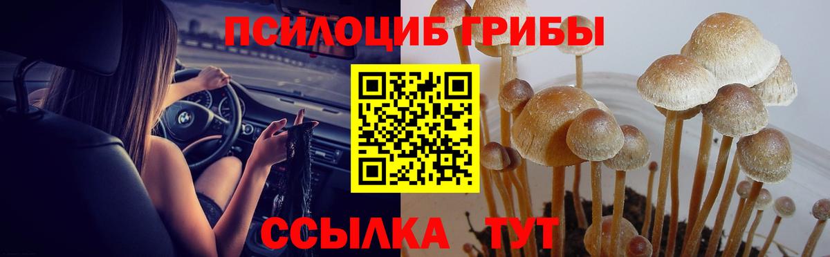 даркнет сайт  Вход с VPN  Симферополь  Галлюциногенные грибы MAGIC MUSHROOMS 
