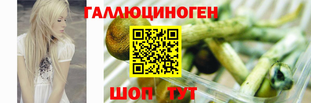 Псилоцибиновые грибы MAGIC MUSHROOMS Симферополь